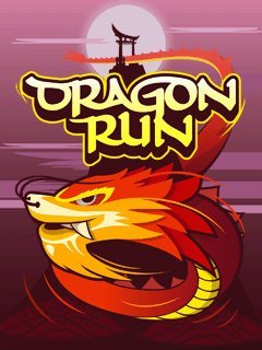 game pic for Dragon Run